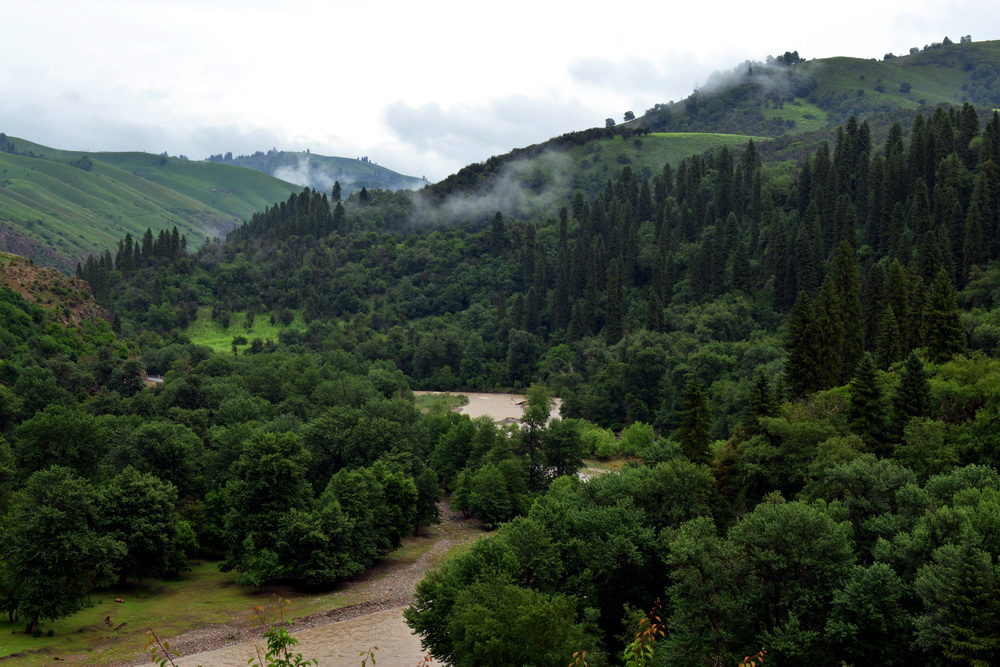 DSC_3287.JPG