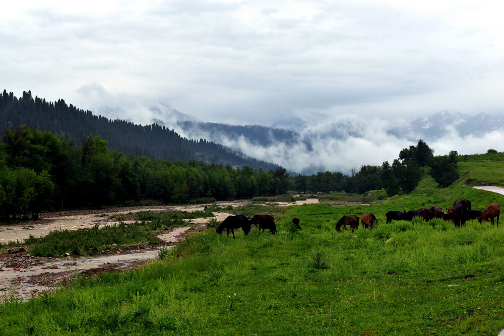 DSC_3294.JPG