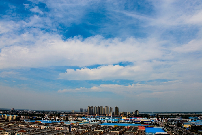 DSC_7210.jpg