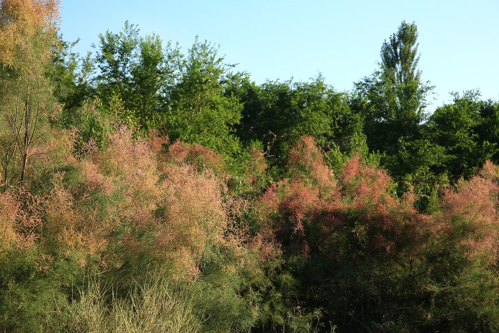 ˹  096.jpg