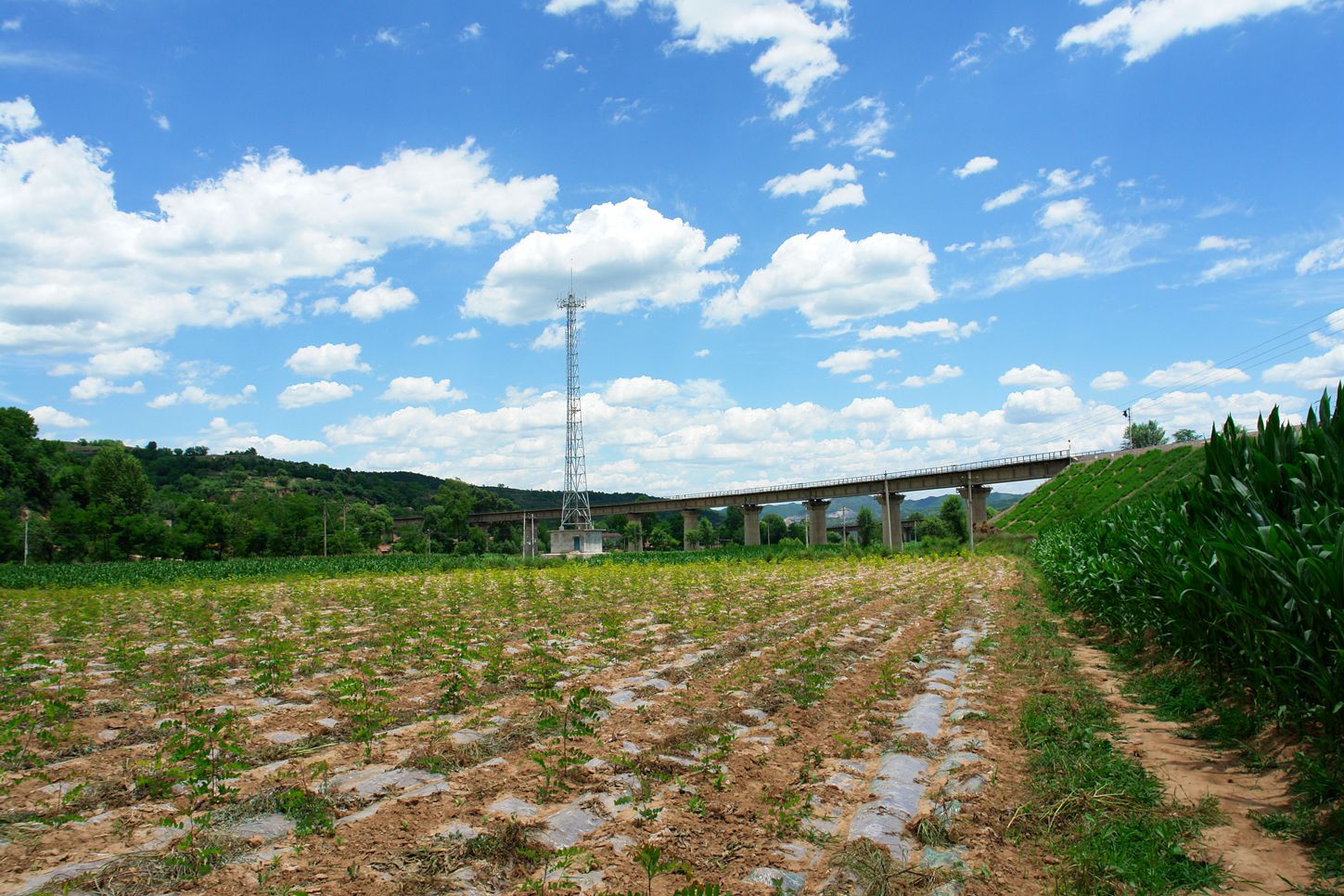 DSC06996_.jpg