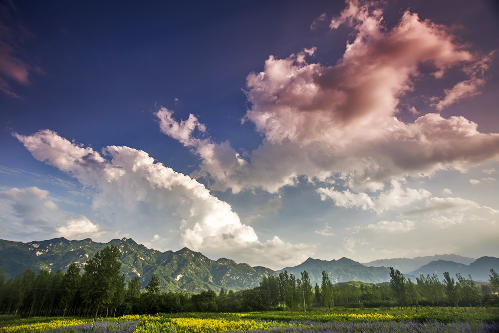 _B6A0498-0.jpg