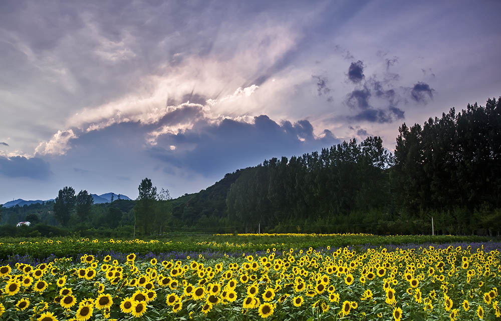 _B6A0612-0.jpg