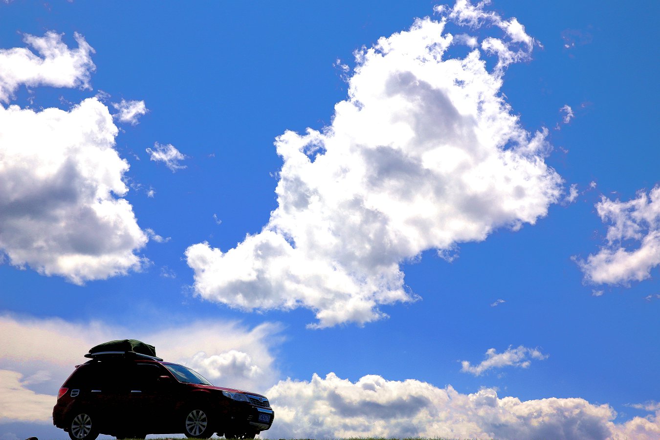 479A1673_1_.jpg