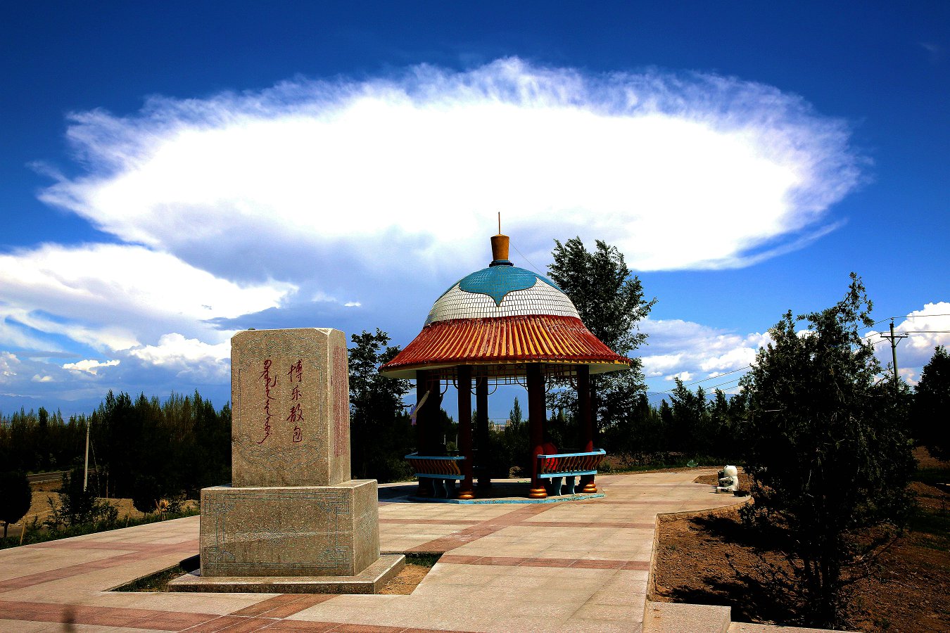 479A2404_.jpg