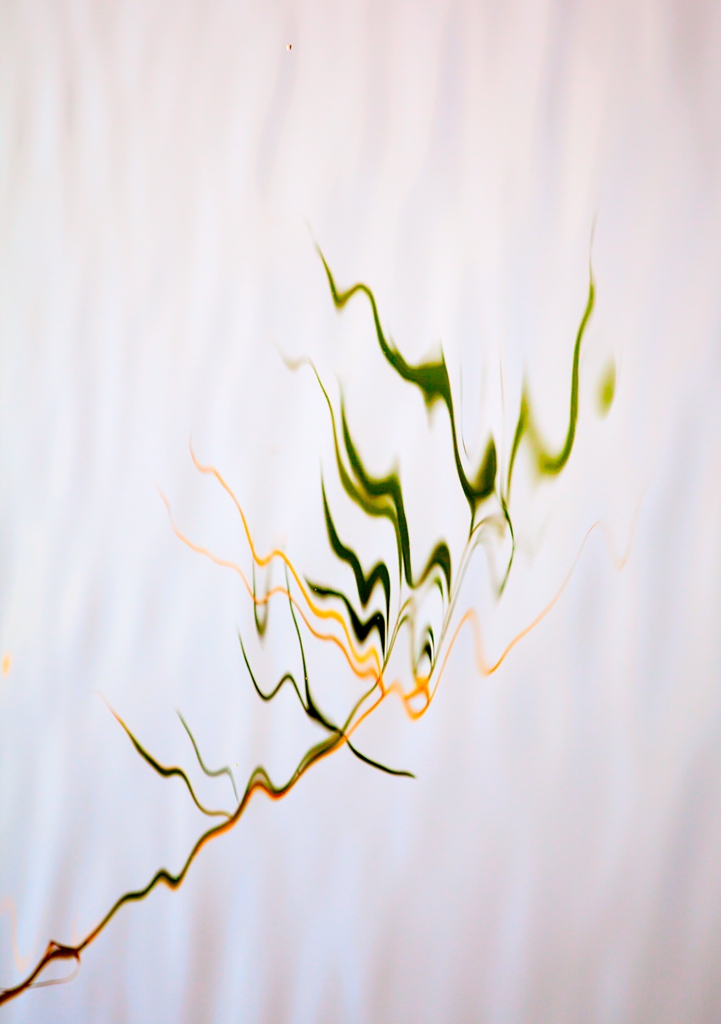 _MG_56491.jpg