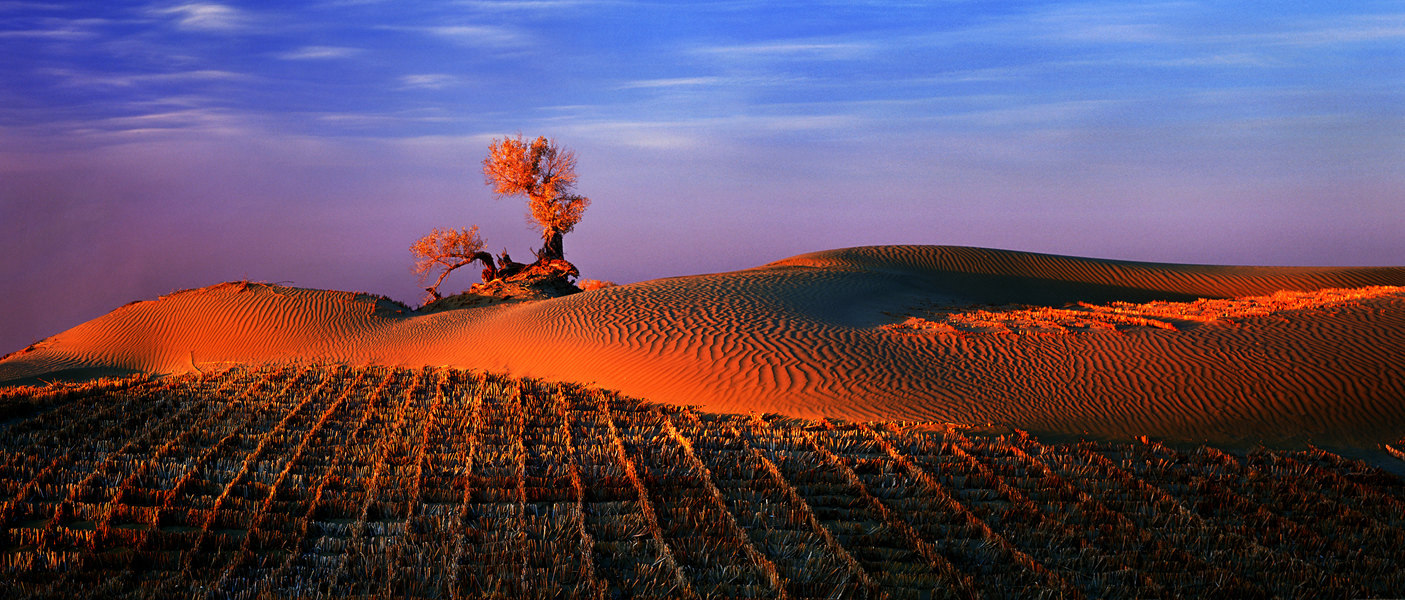 3.Ӱ   Į   Ӱ    ½}_.jpg