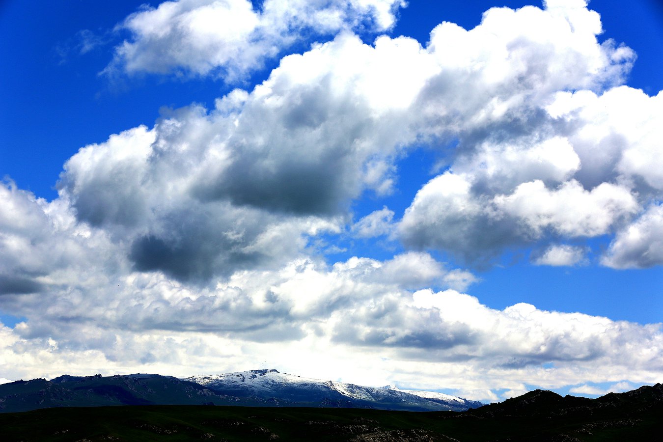 479A1549_1_.jpg