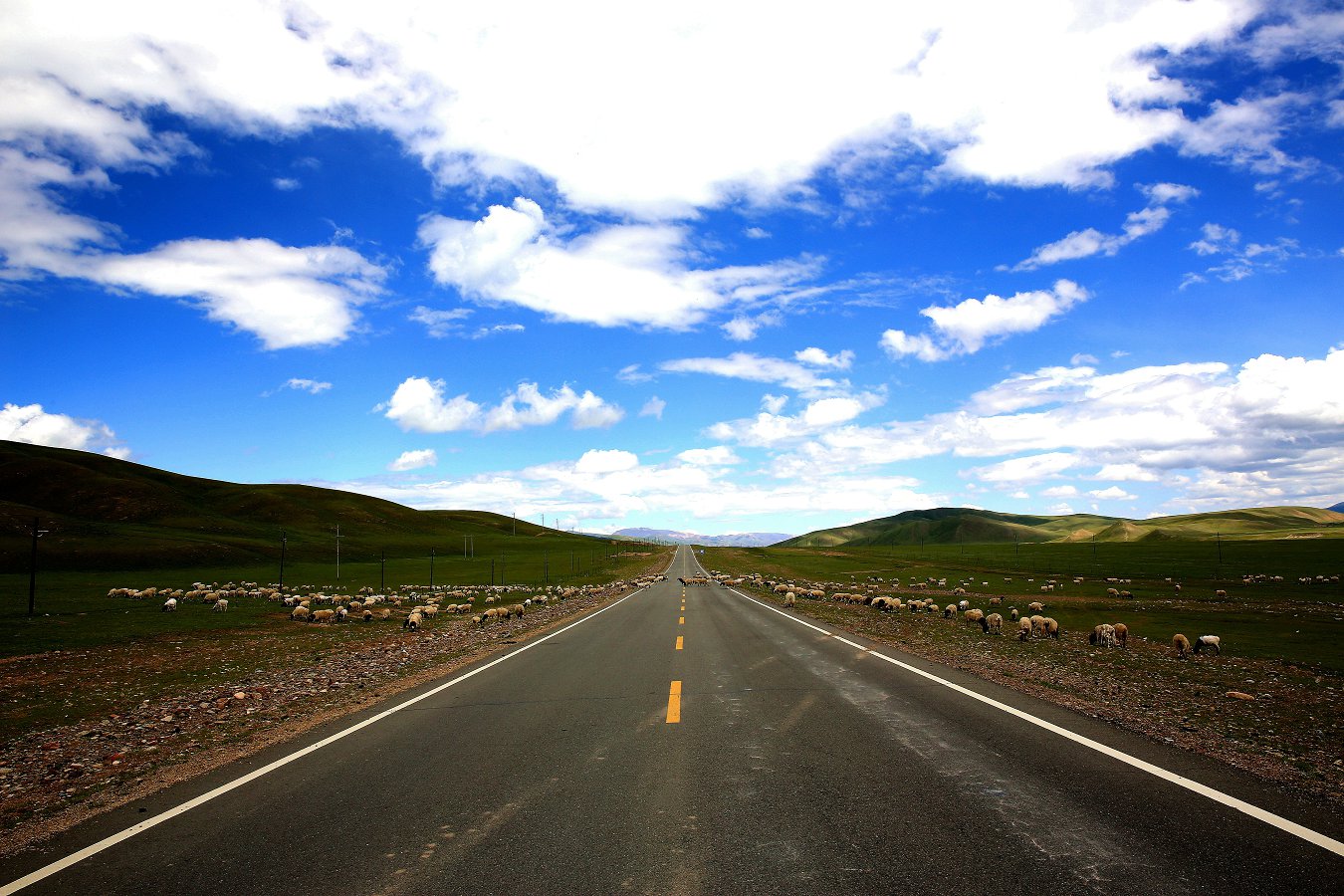 479A1644_1_.jpg