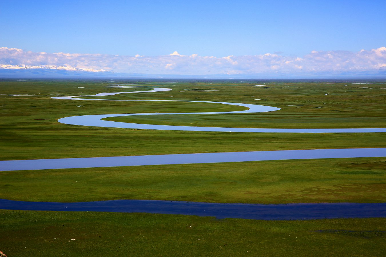 479A1519_1_.jpg