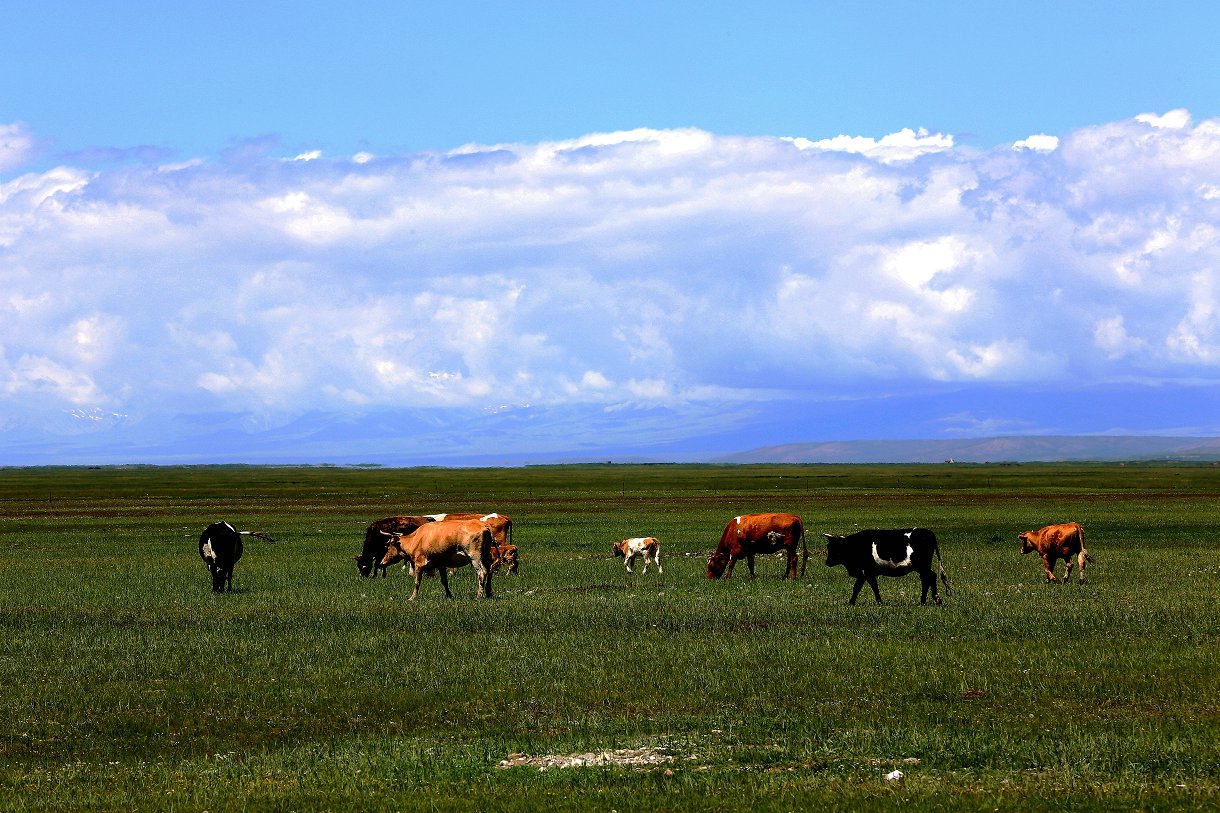 479A1589_1_.jpg