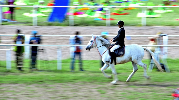 _DSC4838.jpg