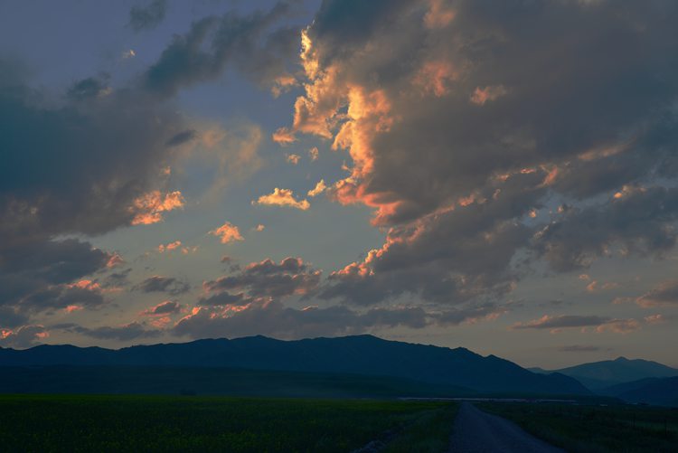 DSC_2149.jpg