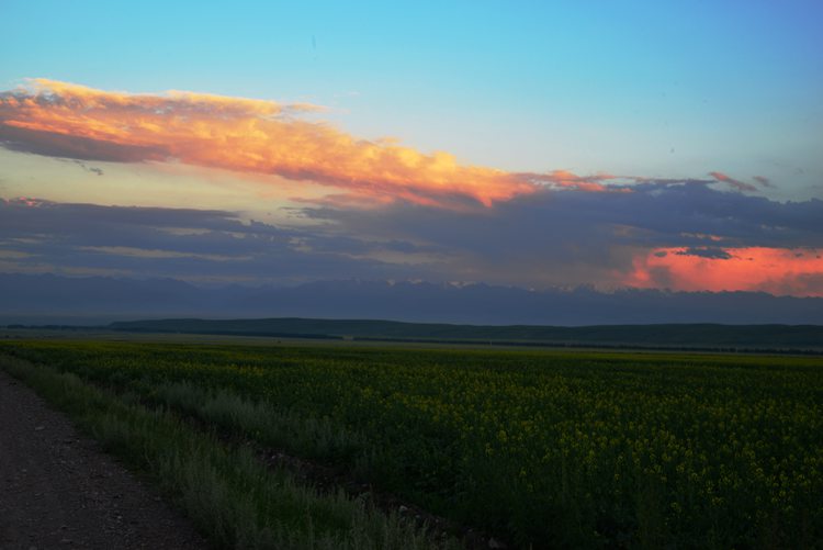 DSC_2154.jpg