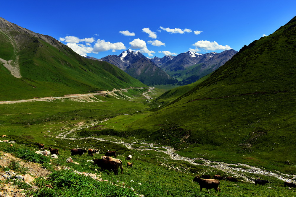DSC_4566.JPG