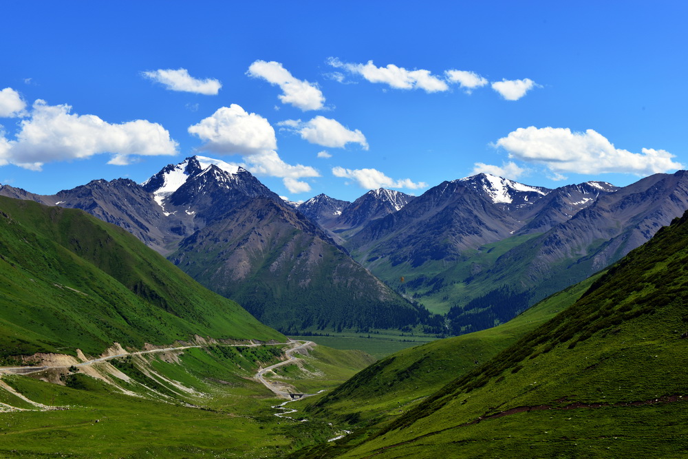 DSC_4567.JPG