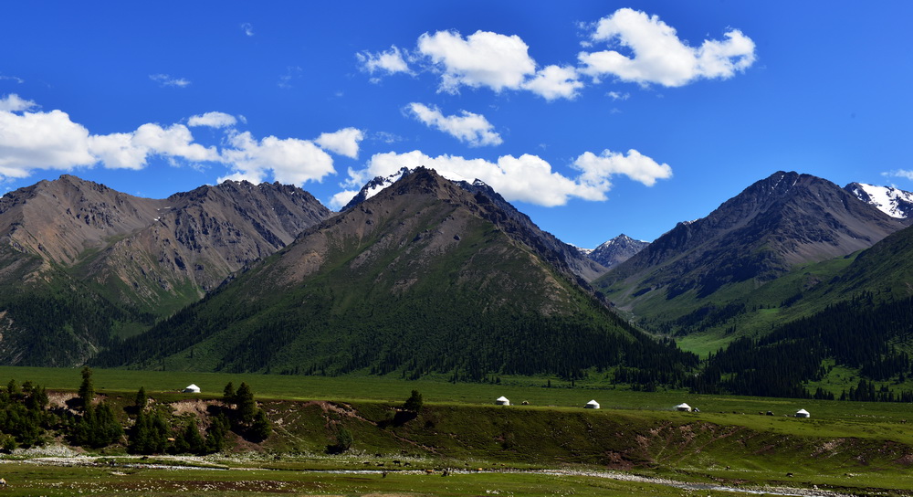 DSC_4577.JPG