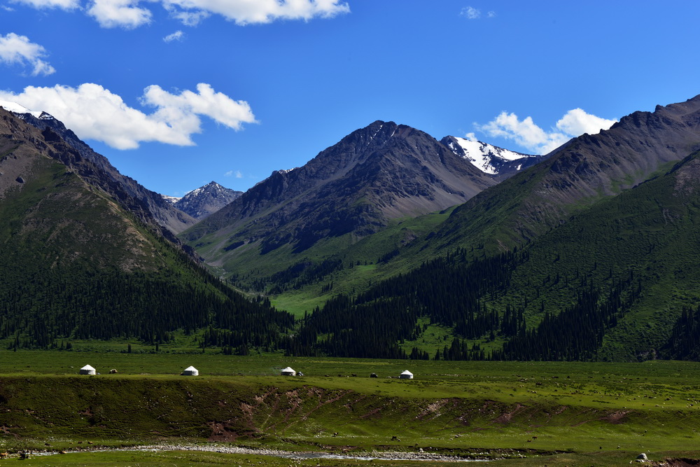 DSC_4581.JPG