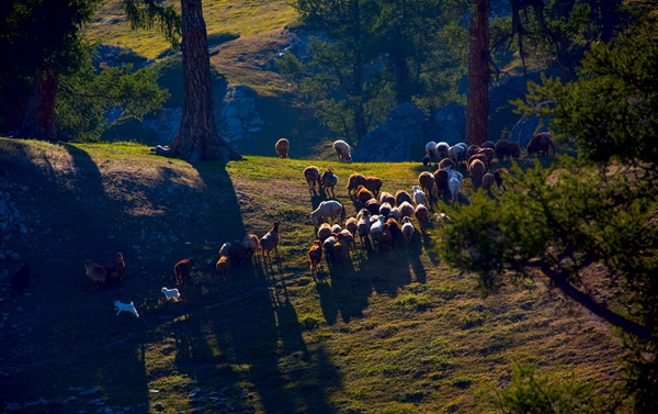 _MG_64451.jpg