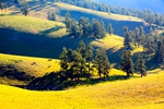 _MG_65401.jpg