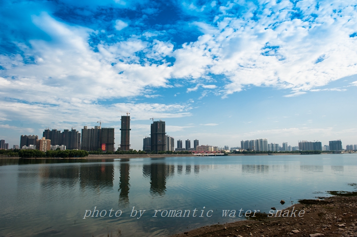 DSC_5509.jpg