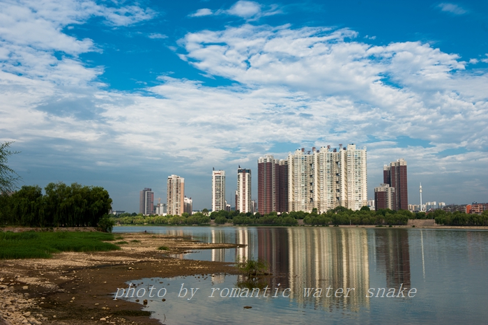 DSC_5510.jpg