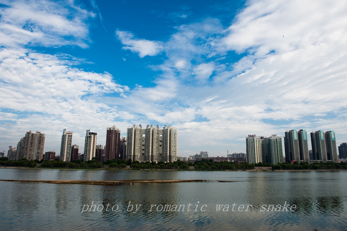 DSC_5518.jpg