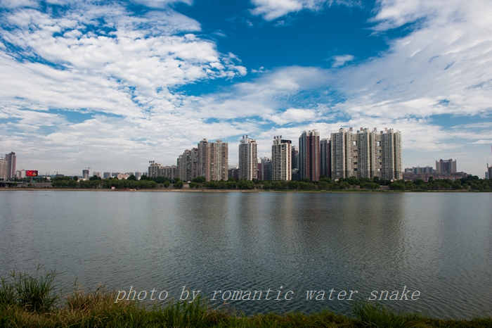 DSC_5519.jpg