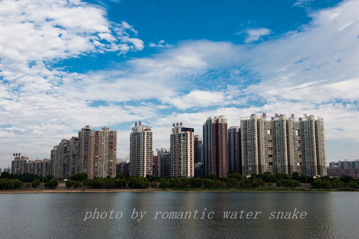 DSC_5520.jpg