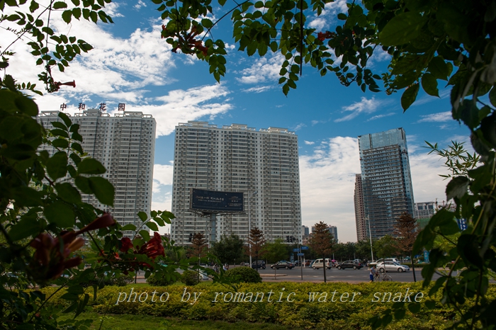 DSC_5524.jpg