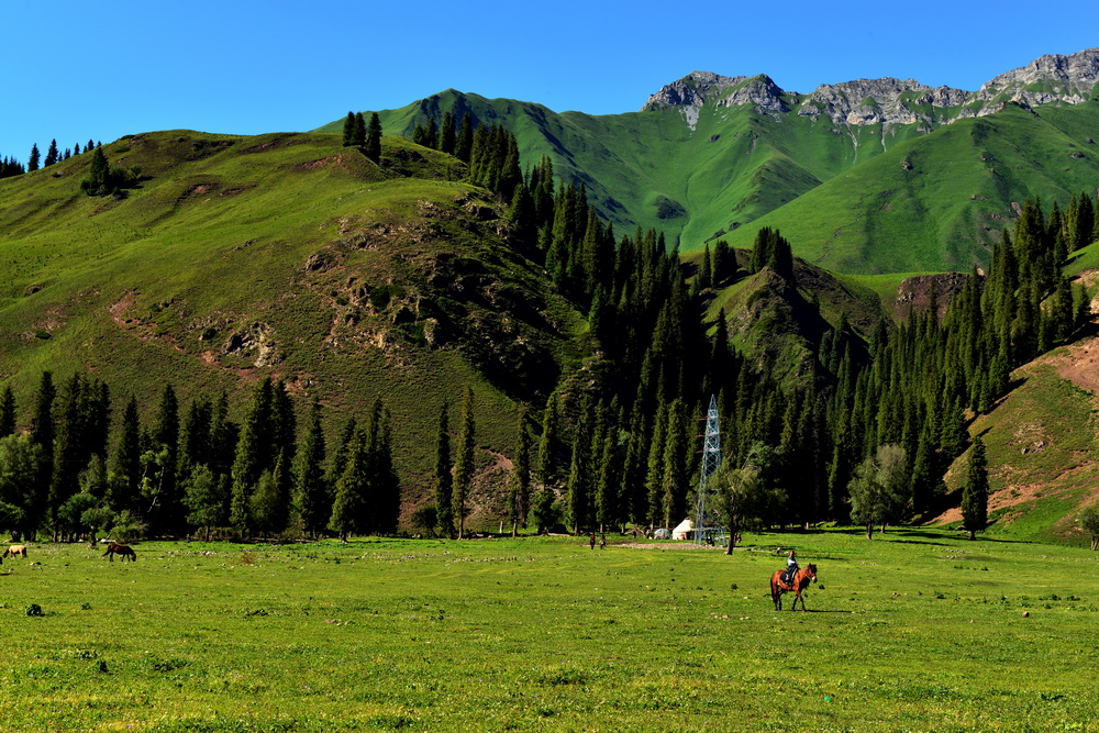 DSC_4604.JPG