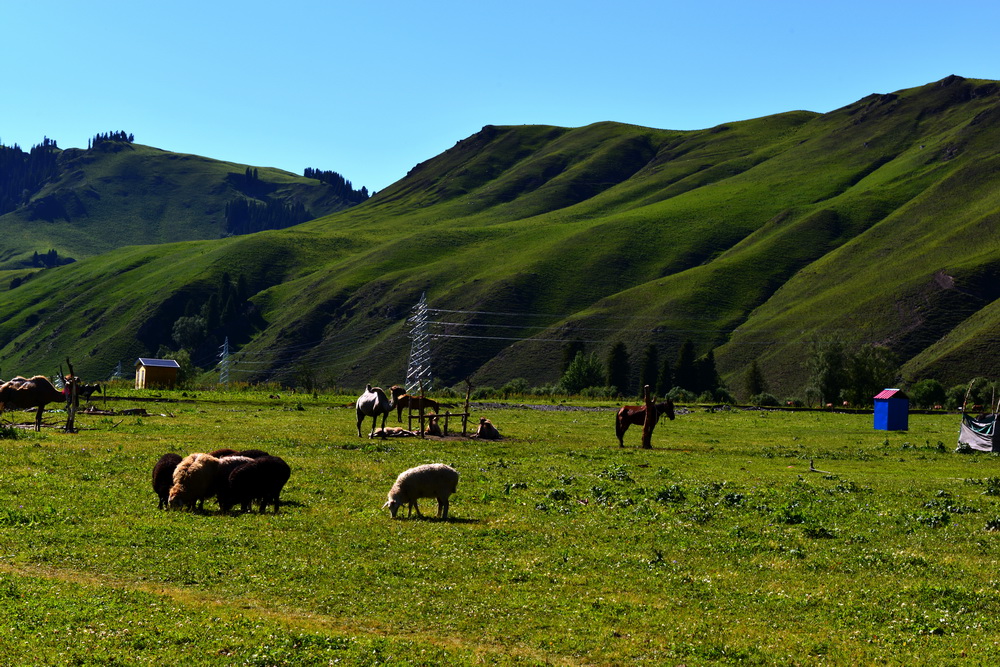 DSC_4605.JPG