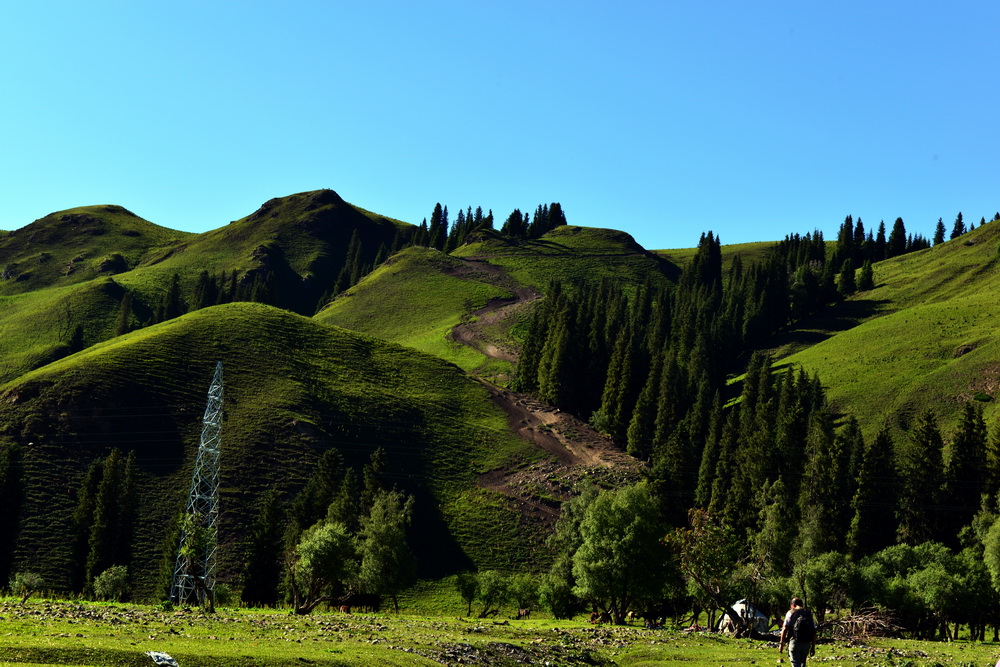 DSC_4609.JPG