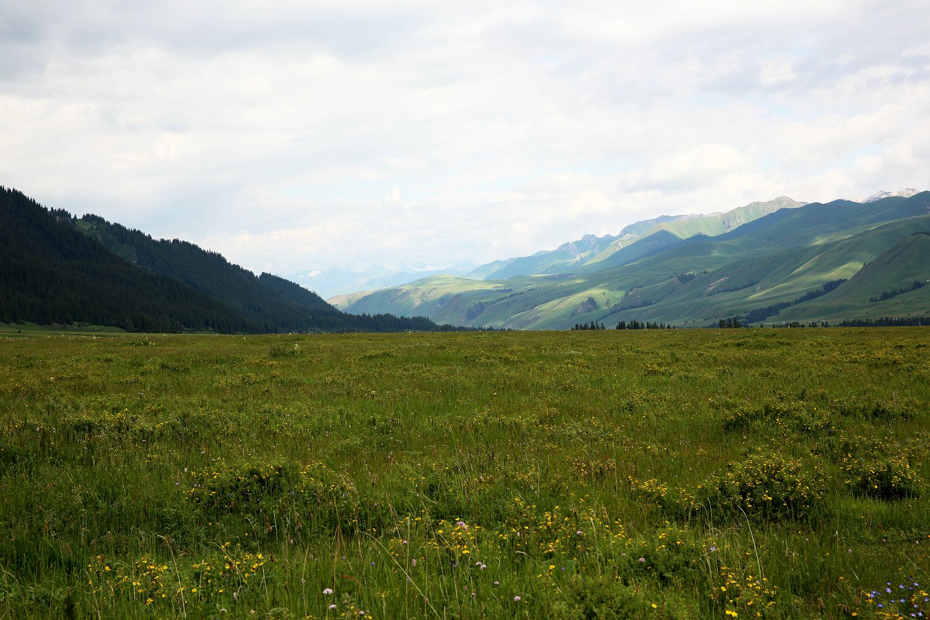 479A1763_11.jpg