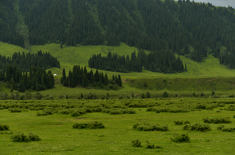 _DSC0086.jpg