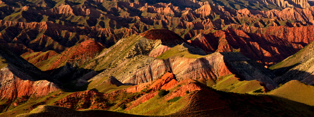 DSC_2774.JPG