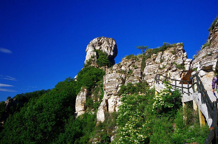IMGP5002.jpg12.jpg