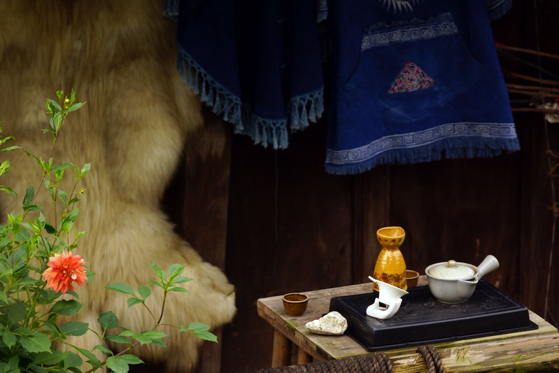 DSC09093.JPG