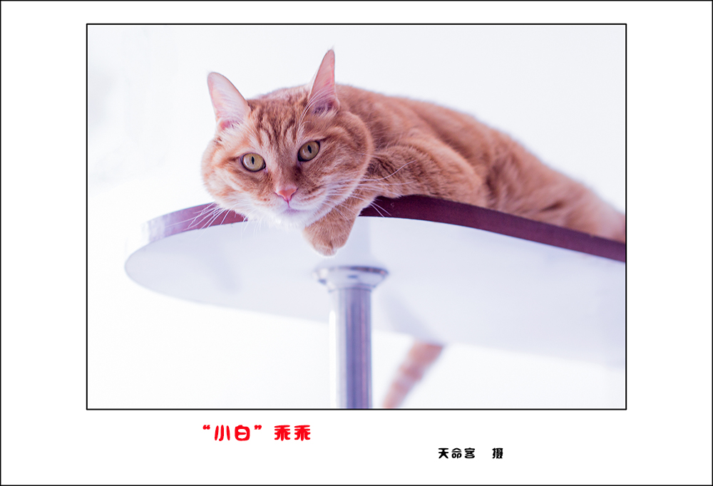 mao3.jpg