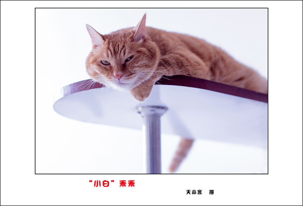 mao4.jpg