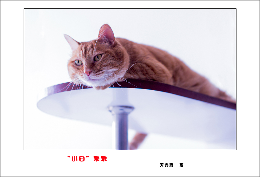 mao5.jpg