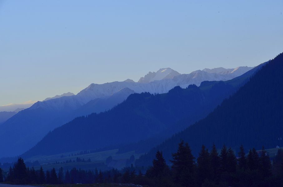 _DSC0269.jpg