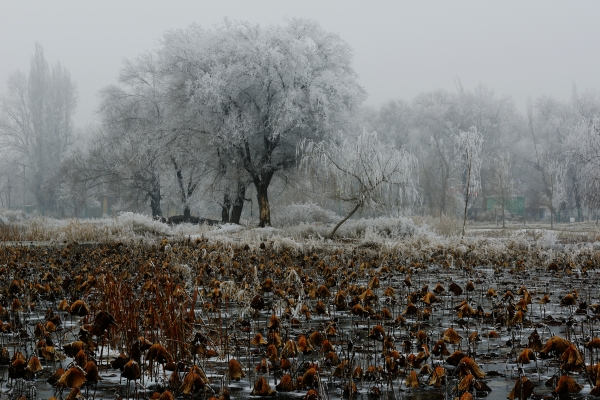 GFS_1064__098.JPG