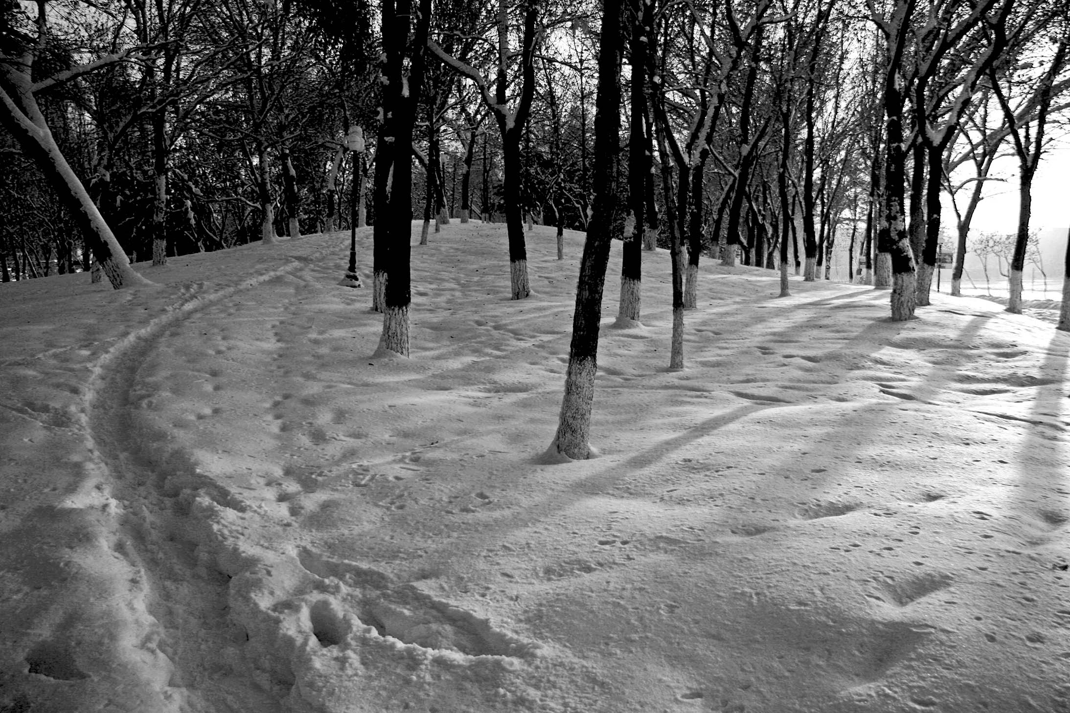 _MG_0038.jpg