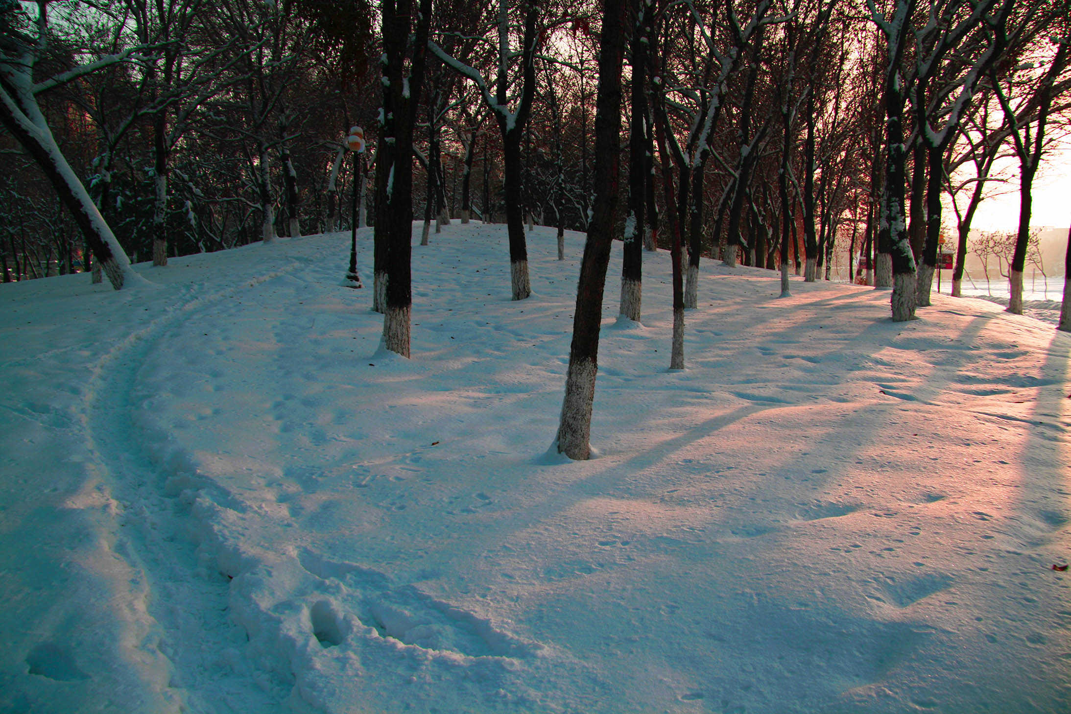 _MG_00381.jpg