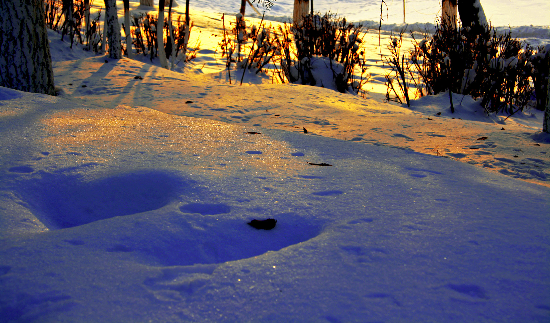 _MG_00501.jpg