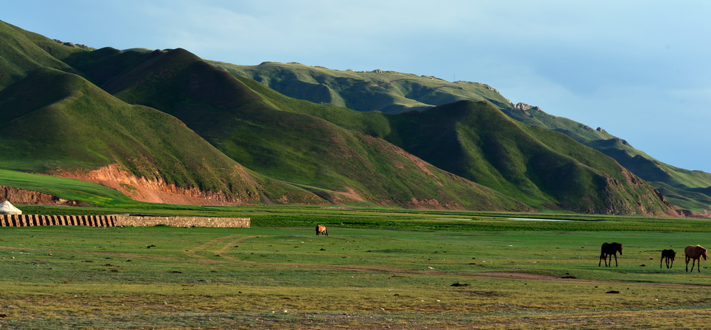 DSC_6288.JPG