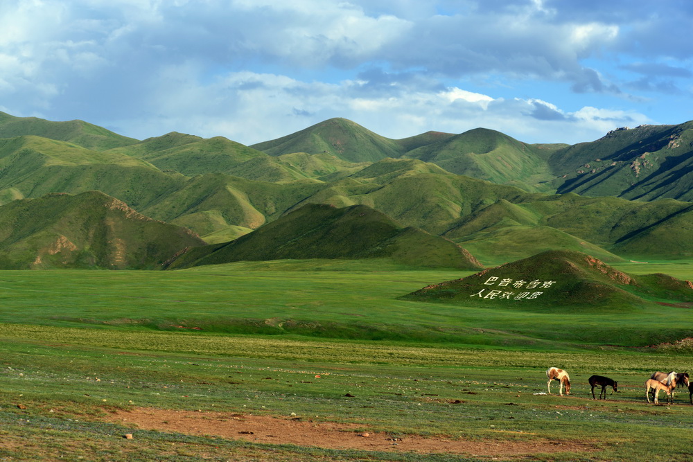 DSC_6291.JPG