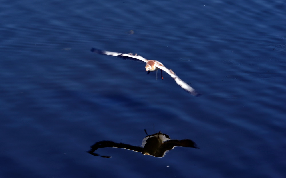 DSC_6414.JPG