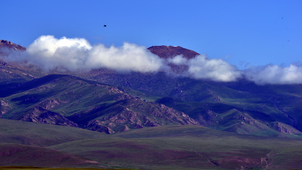 DSC_6424.JPG